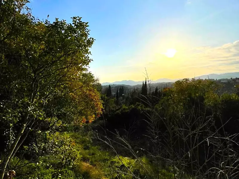 Terrain à bâtir, 1 850 m² - Mougins (06250)