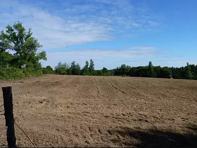 Maison neuve, 90 m²