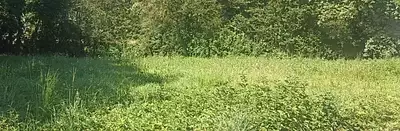 Maison neuve, 90 m²