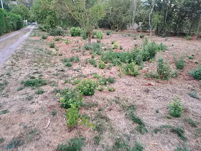 Maison neuve, 98 m²