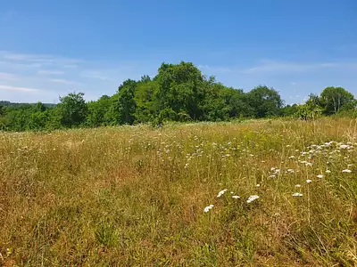 Maison neuve, 50 m²
