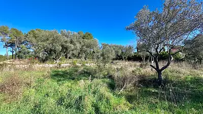 Maison neuve, 100 m²