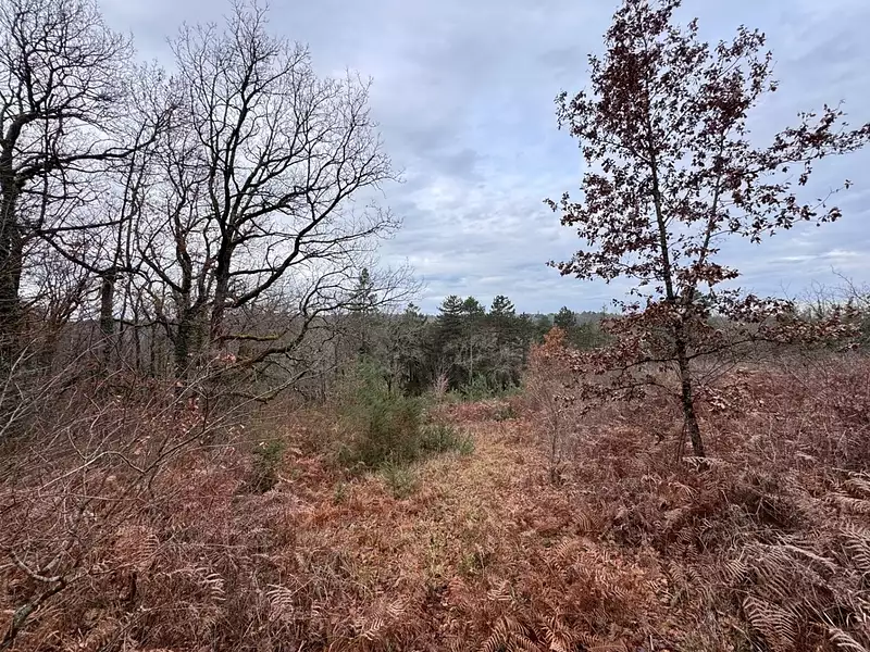 Terrain à bâtir, 6 721 m² - Périgueux (24000)