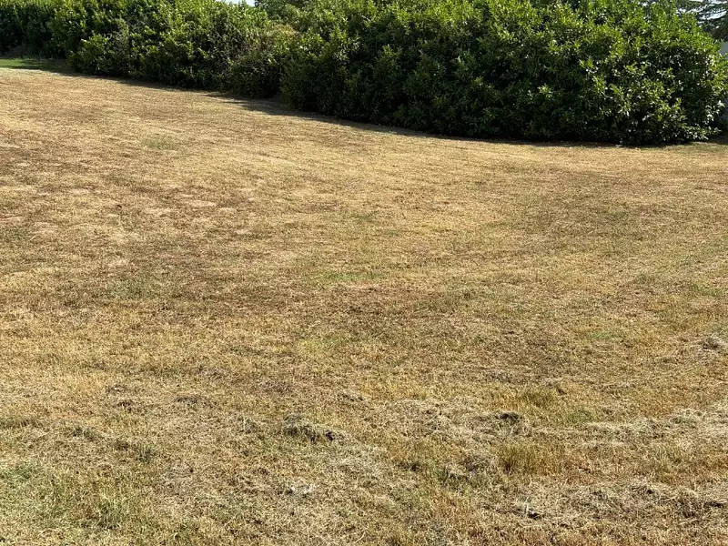 Maison neuve, 84 m² - Paulhac (31380)
