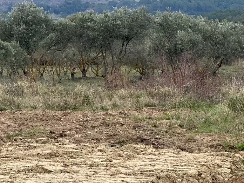 Terrain à bâtir, 334 m² - Rognes (13840)