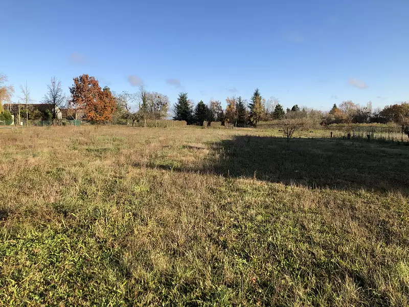 Maison neuve, 100 m² - Olivet (45160)