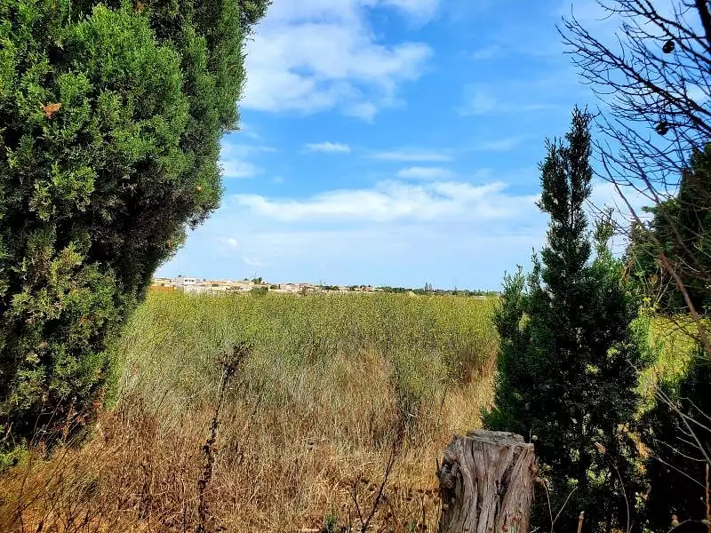 Terrain à bâtir, 386 m² - Sauvian (34410)