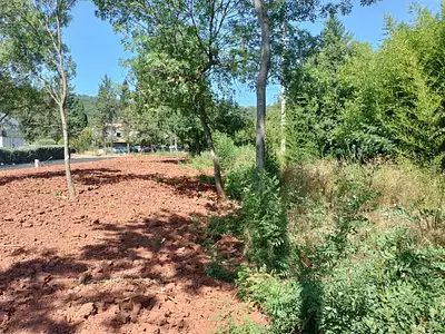 Terrain à bâtir, 393 m²