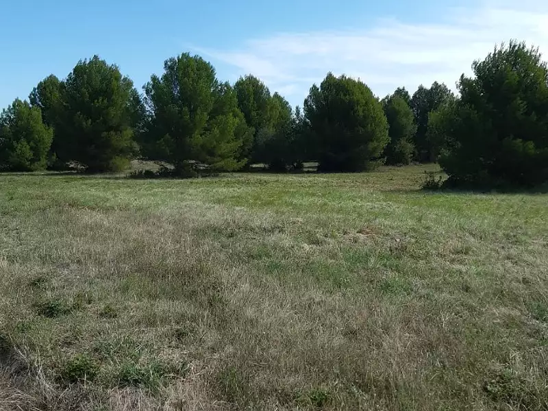 Terrain à bâtir, 315 m² - Saint-Pargoire (34230)