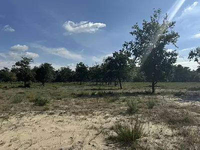 Maison neuve, 99 m²