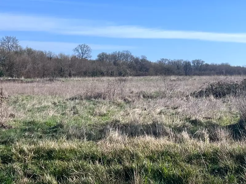 Terrain à bâtir, 528 m² - Pont-l'Abbé-d'Arnoult (17250)