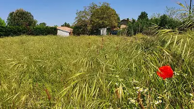 Maison neuve, 120 m²