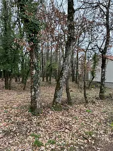 Terrain à bâtir, 717 m²