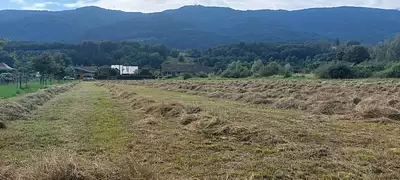 Maison neuve, 80 m²