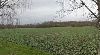 Terrain à bâtir, 597 m²