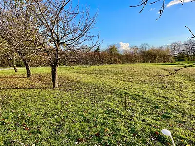 Maison neuve, 80 m²