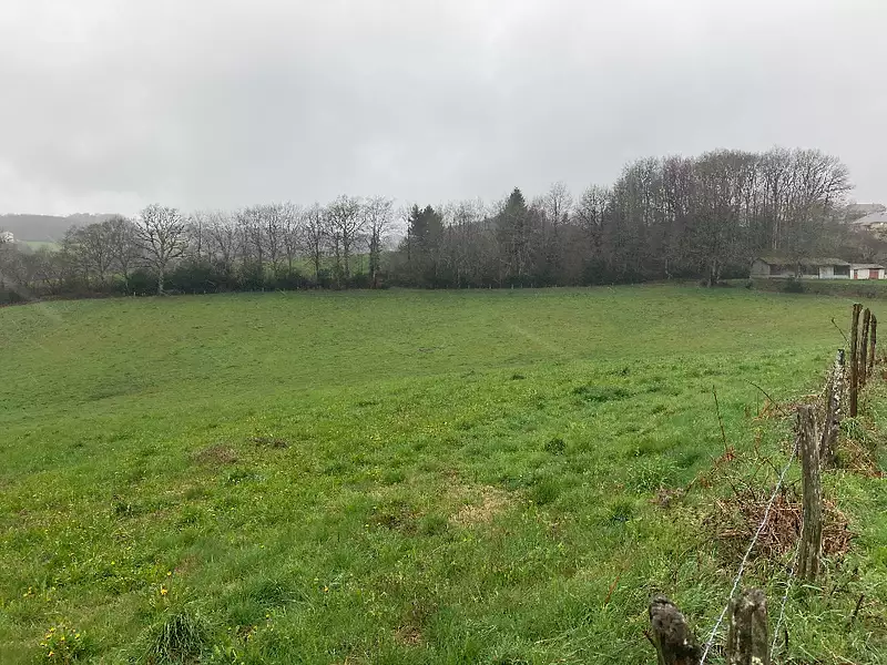 Terrain à bâtir, 1 160 m² - Lafeuillade-en-Vézie (15130)