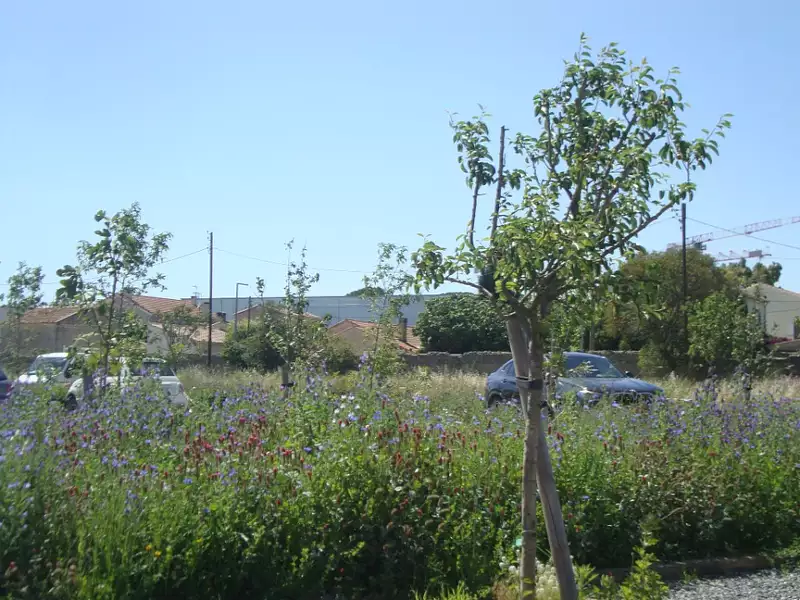 Terrain à bâtir, 255 m² - Hyères (83400)