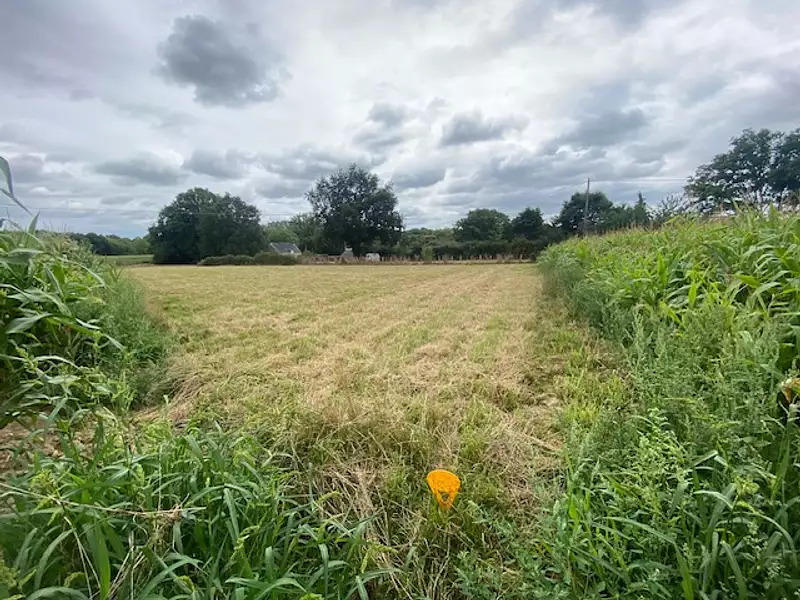 Terrain à bâtir, 750 m² - Missillac (44780)