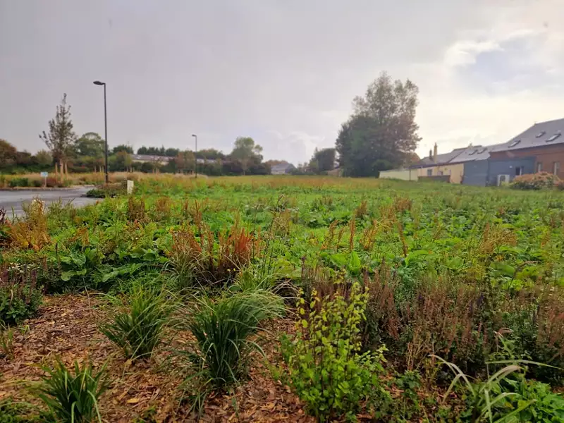 Terrain à bâtir, 467 m² - Saint-Jouin-Bruneval (76280)
