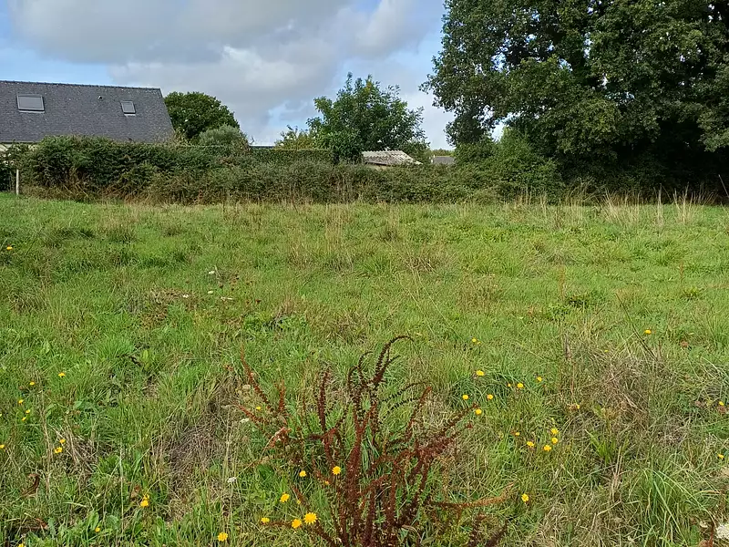 Terrain à bâtir, 310 m² - Le Temple-de-Bretagne (44360)