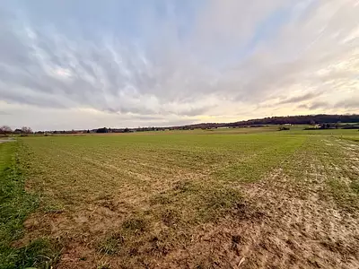 Maison neuve, 84 m²