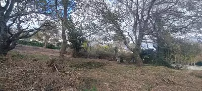 Terrain à bâtir, 1 959 m²