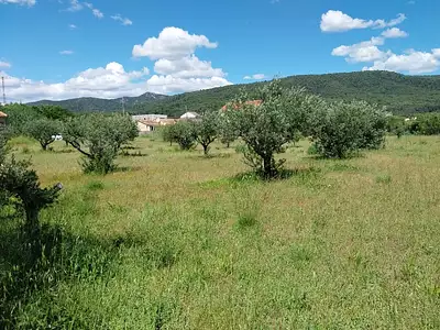 Terrain à bâtir, 3 000 m² - Aups (83630)