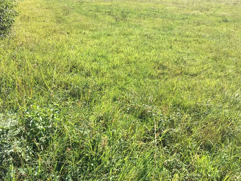 Terrain à bâtir, 850 m² - Saint-Denis-lès-Bourg (01000)