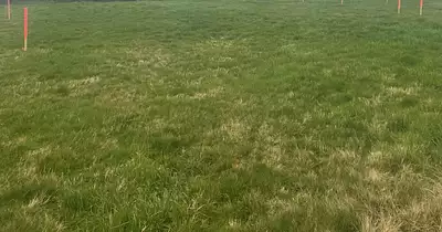 Terrain à bâtir, 750 m²