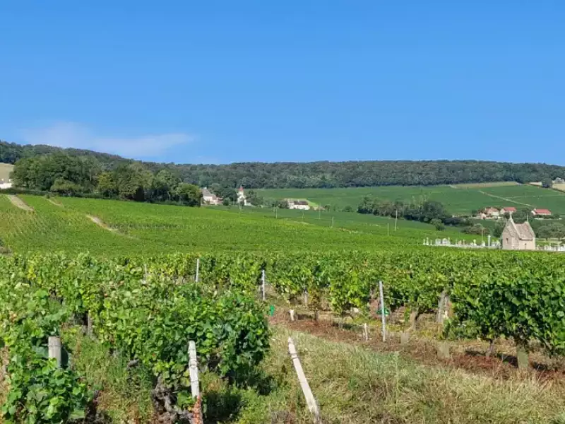 Maison neuve, 120 m² - Chenôves (71390)
