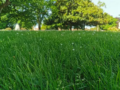 Terrain à bâtir, 676 m²