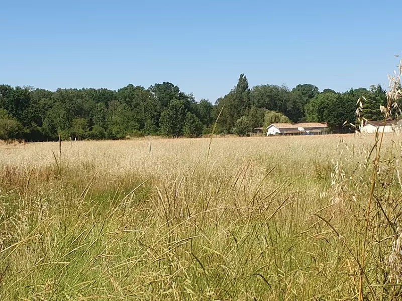 Terrain à bâtir, 600 m² - Saint-Christoly-de-Blaye (33920)