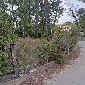 Terrain à bâtir, 983 m²