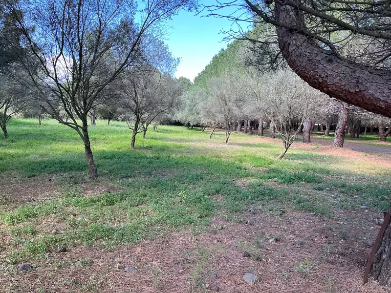 Terrain à bâtir, 413 m² - Lézignan-la-Cèbe (34120)