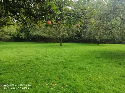 Terrain à bâtir, 718 m²