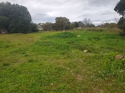 Terrain à bâtir, 1 450 m²