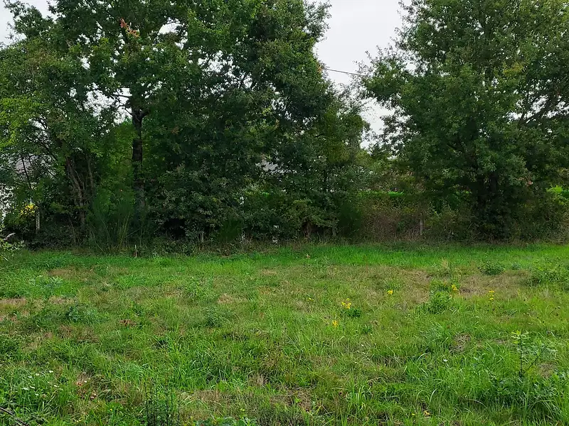 Terrain à bâtir, 980 m² - Pontchâteau (44160)