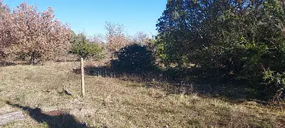 Terrain à bâtir, 200 m²