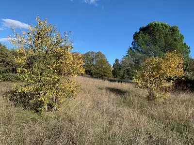 Maison neuve, 130 m²