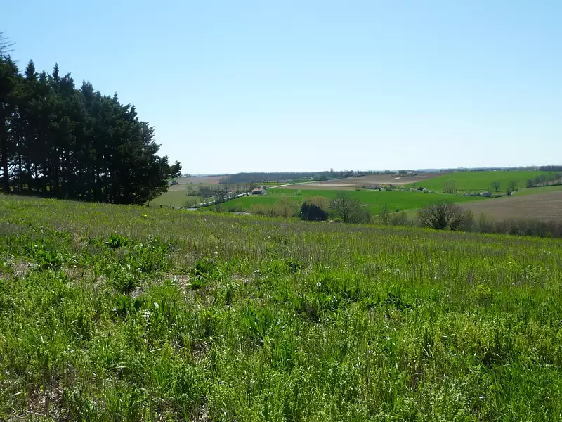 TERRAINS MONTJOIRE – LES HAUTS DE MONTJOIRE - Montjoire (31380)