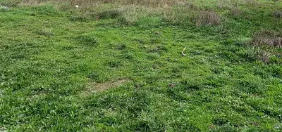 Maison neuve, 90 m²