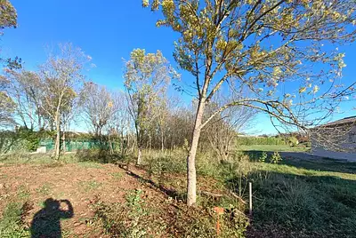 Terrain à bâtir, 278 m²